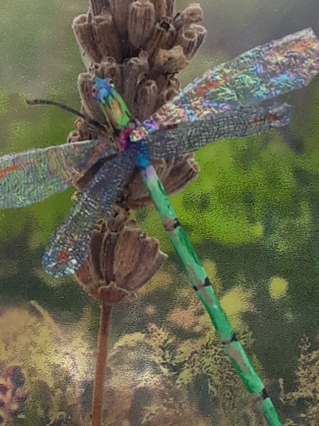 A minature, hand-created dragonfly from Dream Small