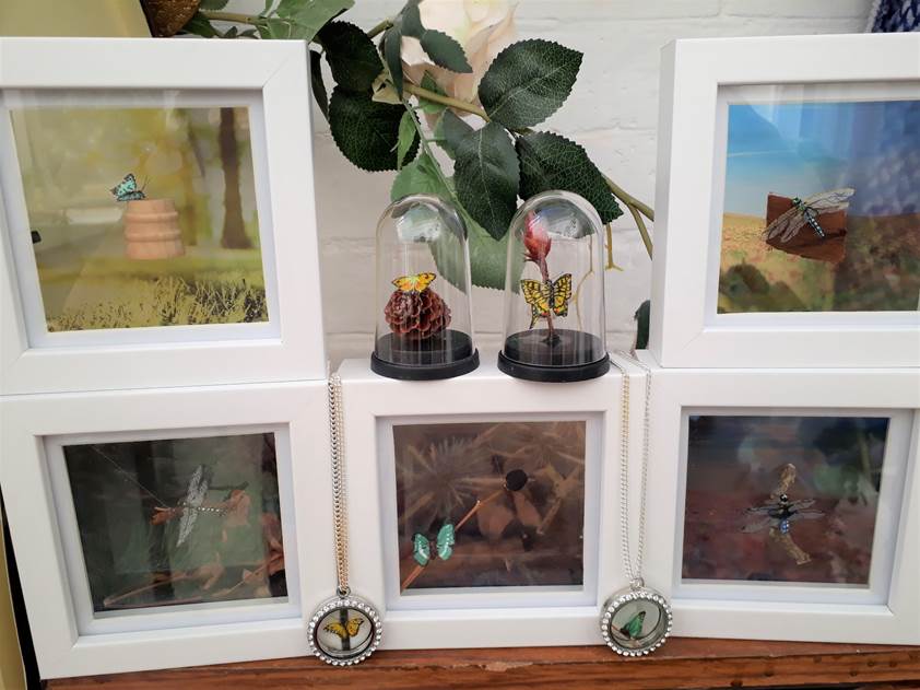 A display of minature, hand-created bugs from Dream Small